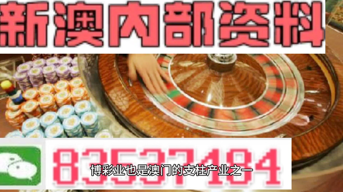 新澳门精准正版免费大全与澳门天天免费精准大全全面释义、解释与落实